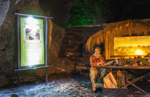 Imagen de Cámara de Humboldt
